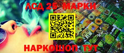 индика Рузаевка
