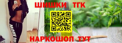индика Рузаевка