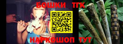 индика Рузаевка