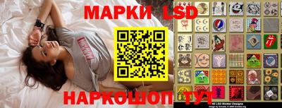 индика Рузаевка