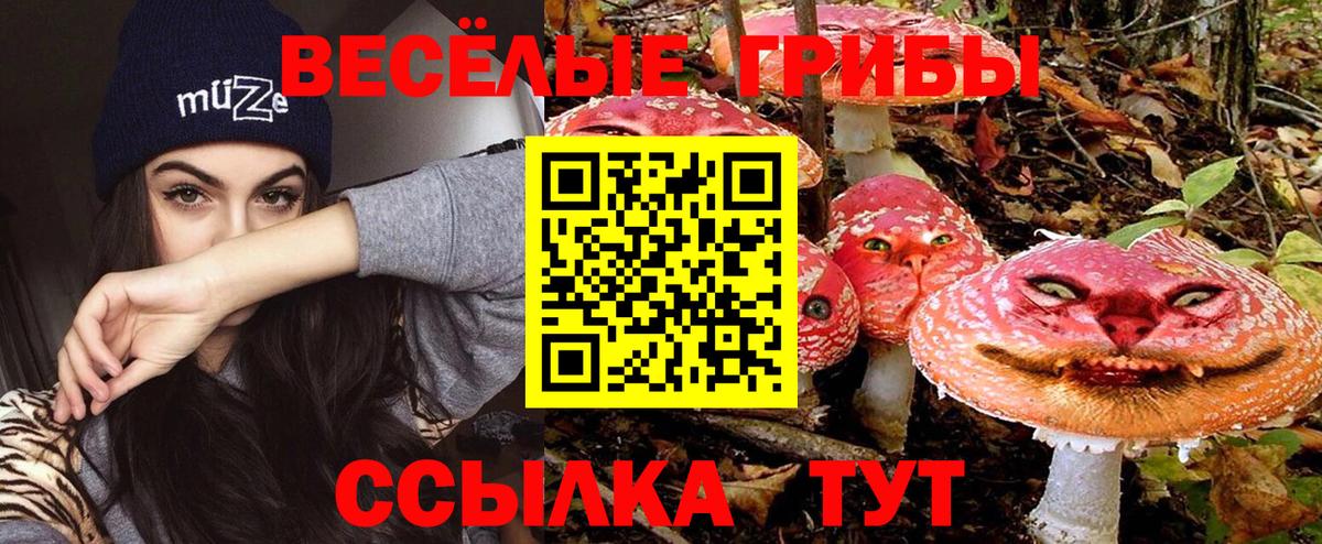 Псилоцибиновые грибы GOLDEN TEACHER Амурск