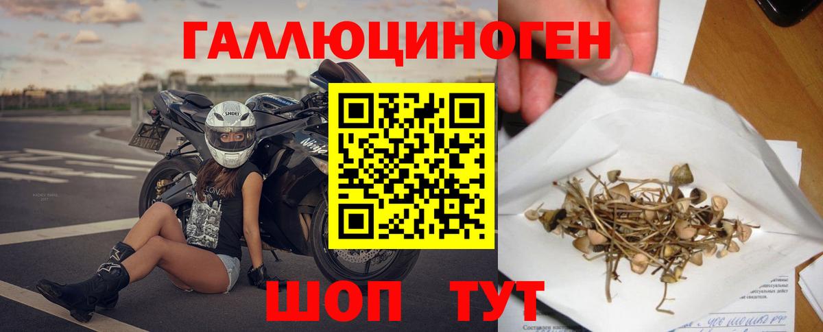 Амурск  где можно купить   Вход с VPN  Галлюциногенные грибы Cubensis 
